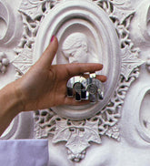 Mirror Arch Earrings With Pahlavi Coins