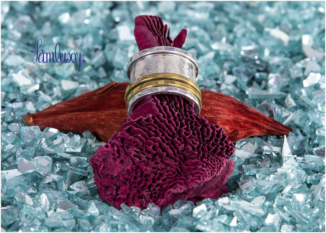 Meditation Silver $ Gold Ring