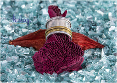 Meditation Silver $ Gold Ring